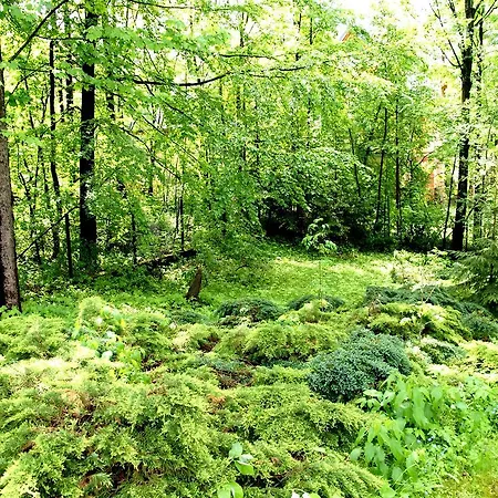 Domek Drewniany Tetmajera Centrum Zakopane Exteriér fotografie