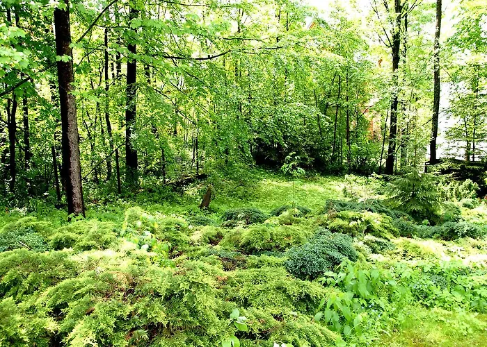 Domek Drewniany Tetmajera Centrum Zakopane